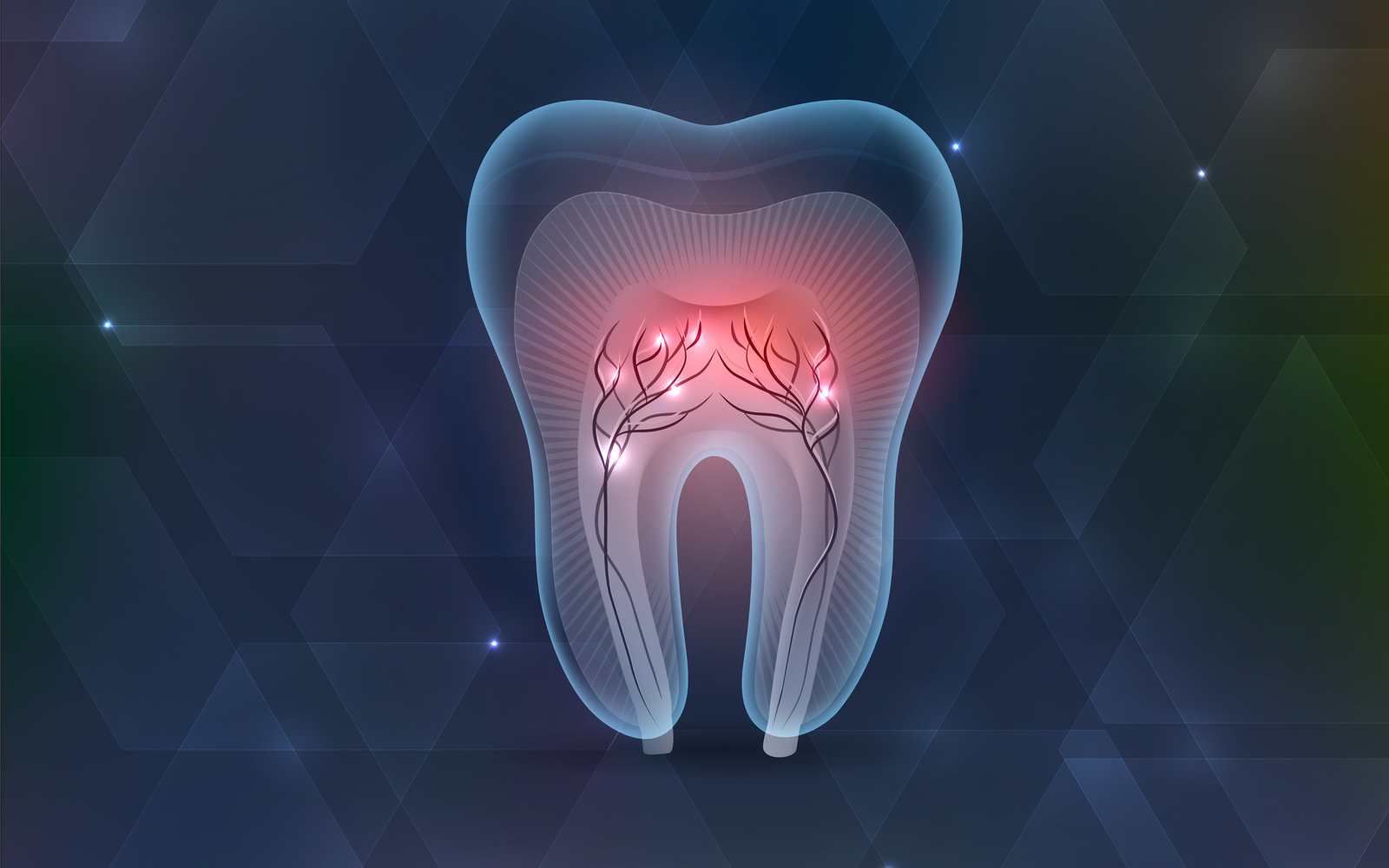 Closeup of Dental Tooth Digital Image